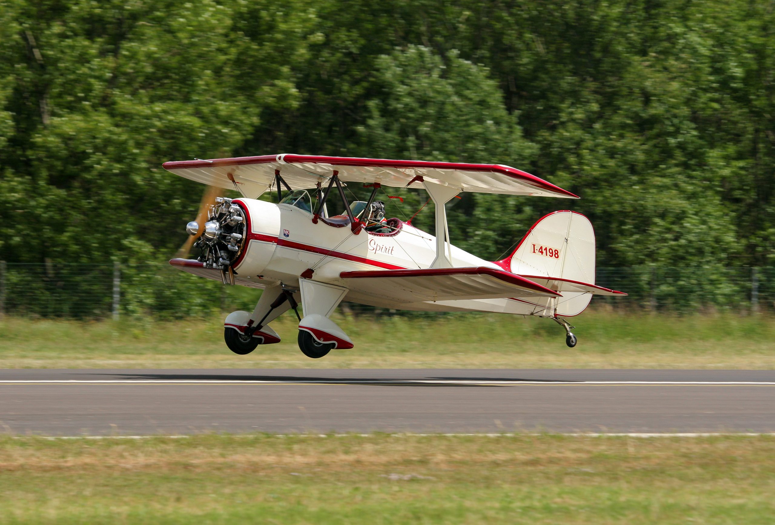 Murphy Renegade